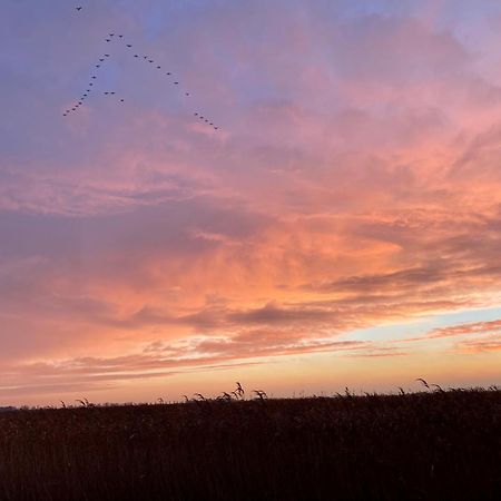 Deichkoje12 Direkt Am Eiderdeich Nur 7 Km Bis Zur Nordsee Und 20 Min Bis Sankt Peter Ording Tönning Eksteriør billede