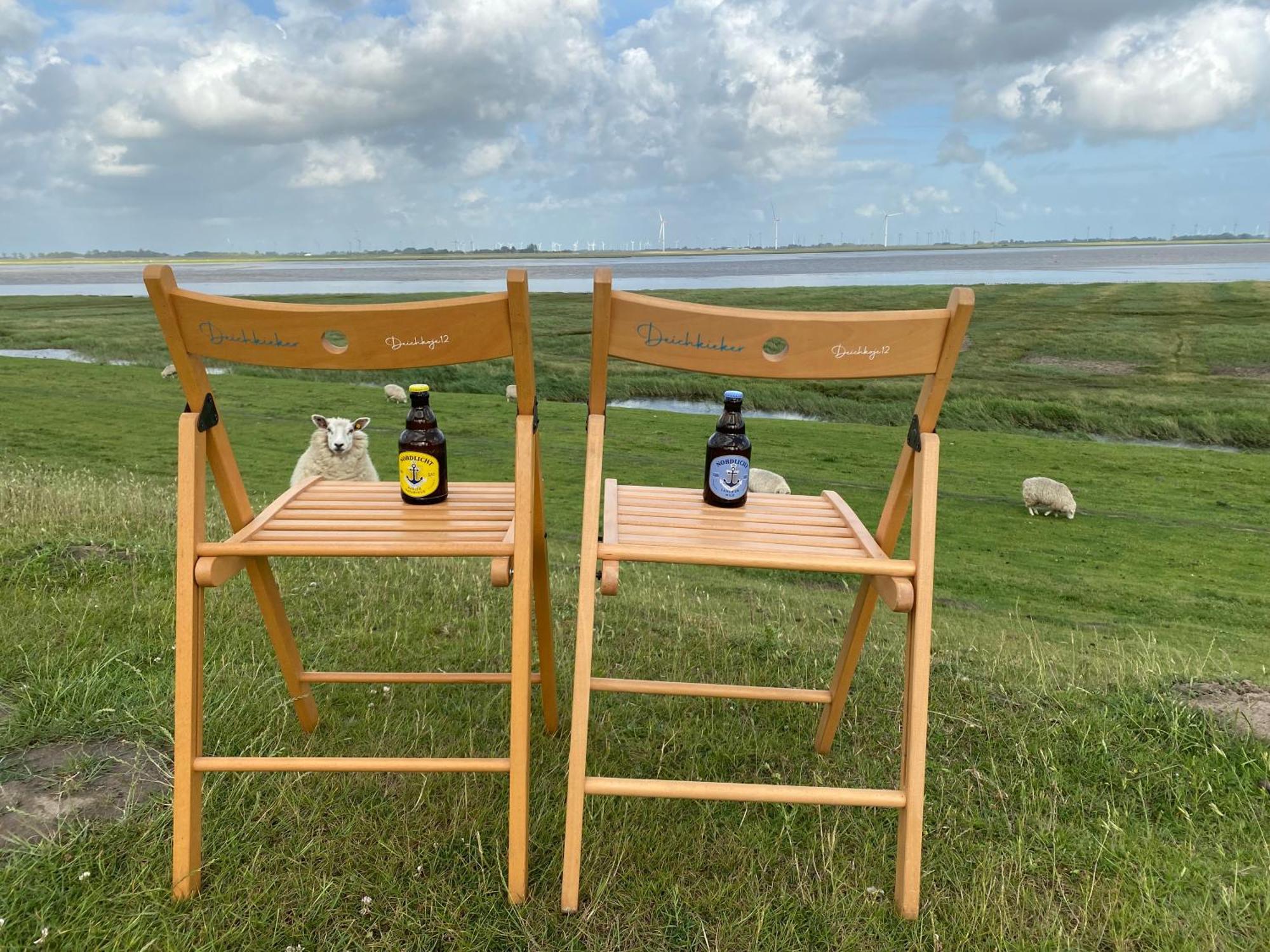Deichkoje12 Direkt Am Eiderdeich Nur 7 Km Bis Zur Nordsee Und 20 Min Bis Sankt Peter Ording Tönning Eksteriør billede