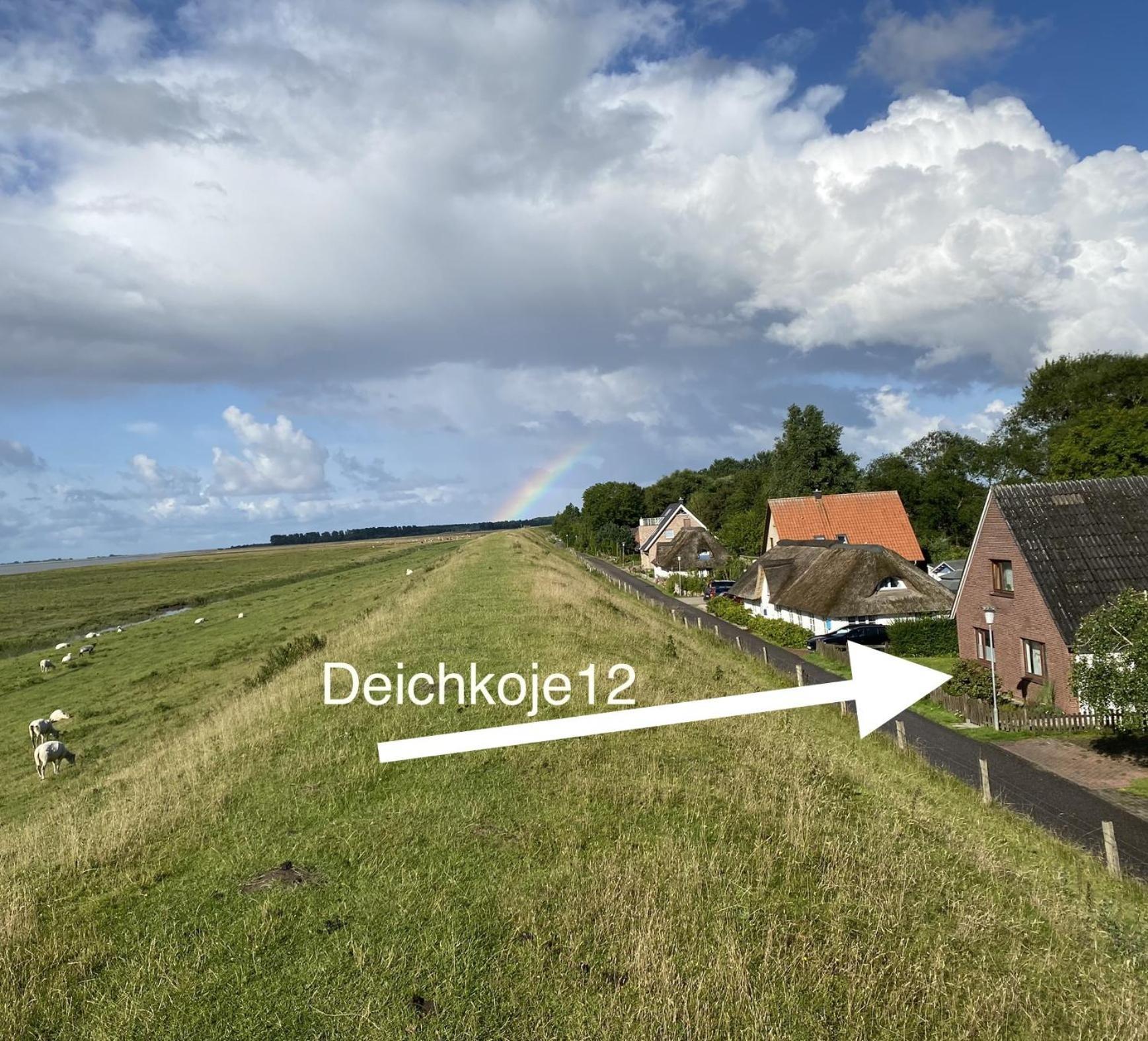 Deichkoje12 Direkt Am Eiderdeich Nur 7 Km Bis Zur Nordsee Und 20 Min Bis Sankt Peter Ording Tönning Eksteriør billede